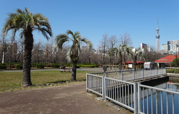 Sarue-onshi Park