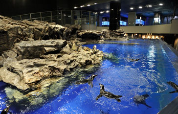 Sumida Aquarium