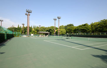 有明テニスの森公園